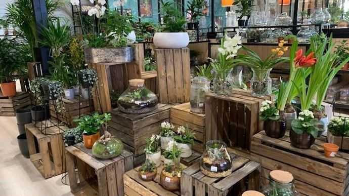 Le rayon déco est minimal mais met en avant surtout la palette végétale et des exemples de mise en scène faciles à reproduire, avec les conseils de la responsable si besoin. ©Odile Maillard